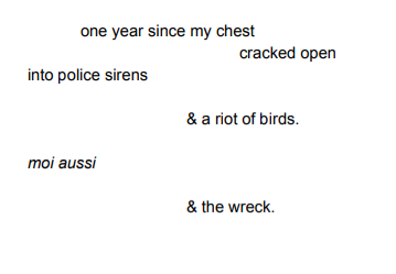 birds, opening act: one year since my chest / cracked open / into police sirens / & a riot of birds. / moi aussi / & the wreck.