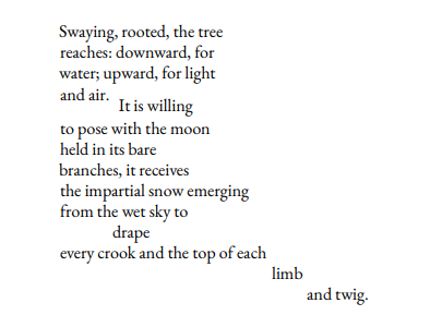 Swaying, rooted, the tree reaches: downward, for water; upward, for light and air. It is willing to pose with the moon held in its bare branches, it receives the impartial snow emerging from the wet sky to drape every crook and the top of each limb and twig.