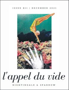 l'appel du vide issue xii cover